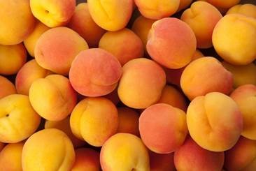 New season apricots at the Capital Region Farmers Market