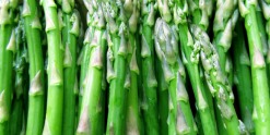 Asparagus from Capital Region Farmers Market stallholder
