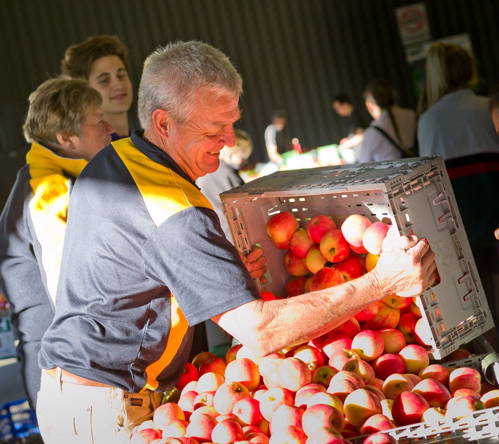 Picking an apple by Capital Region Farmers Market stallholder, Ellamatta Orchards