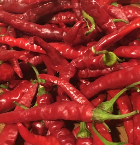 Fresh season red chilli's at the Capital Region Farmers Market