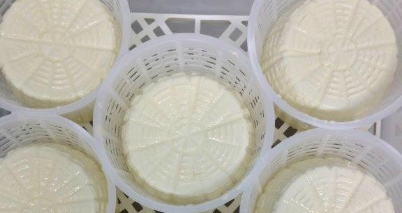 New at the Capital Region Farmers Market, The Cheese Project