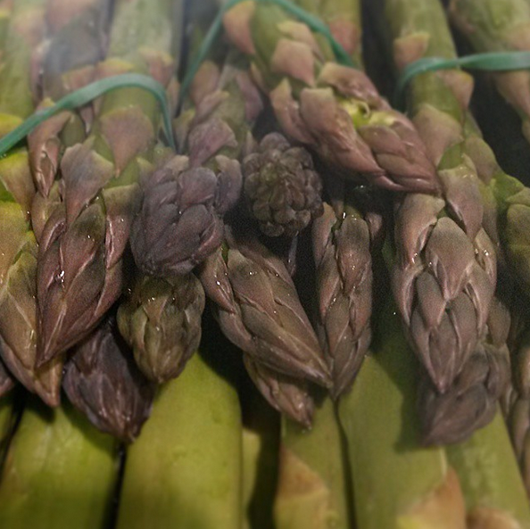 Image of fresh bunches of asparagus from the Capital Region Farmers Market by instagrammer susanssumptuoussuppers