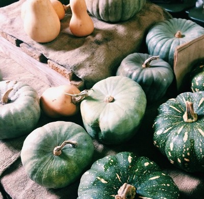 Capital Region Farmers Market, Pumpkins
