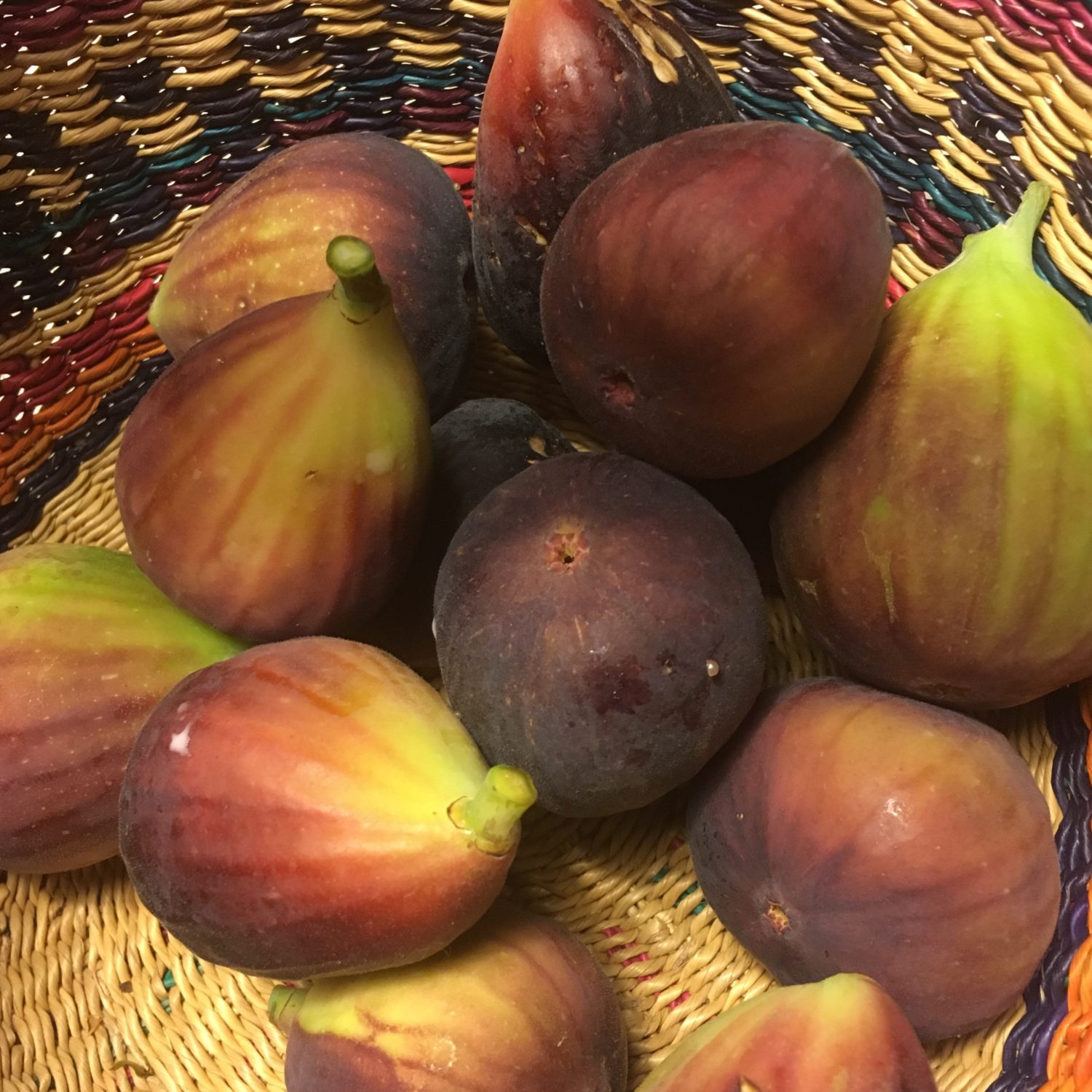 Fresh Figs at the Capital Region Farmers Market