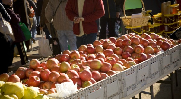Fresh apples at the Capital Region Farmers Market