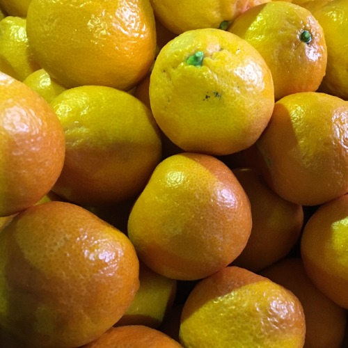 Freshly picked mandarins at the Capital Region Farmers Market