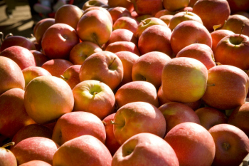 Capital Region Farmers Market, Seasonal Produce. Red apples
