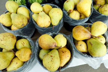 Capital Region Farmers Market - Seasonal Produce. Pears