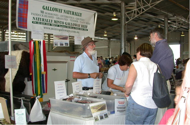 Minto Galloways at Capital Region Farmers Market