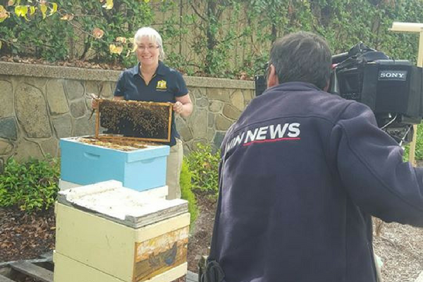 Honey Delight - World Bee Day - Capital Region Farmers Markets