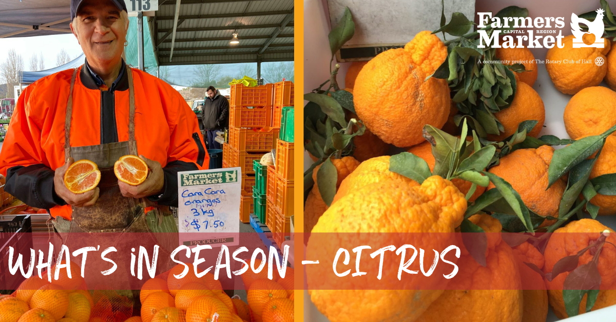 What's in Season - Citrus