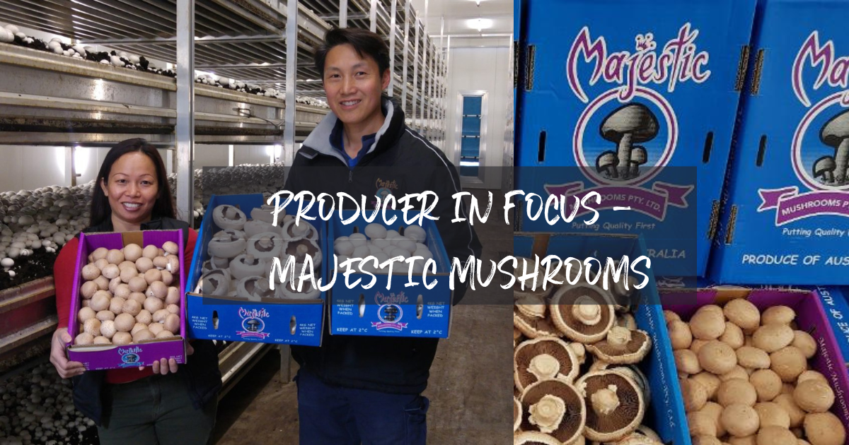 Producer in Focus - Majestic Mushrooms