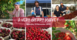 A Very Cherry Market