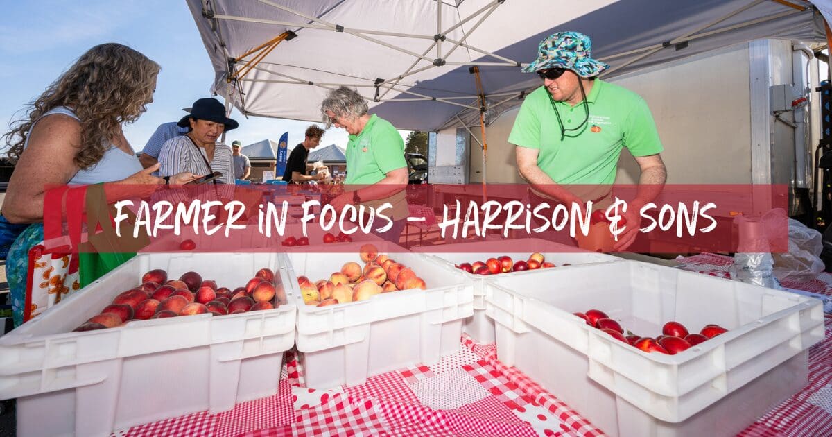 Farmer in Focus Harrison and Sons